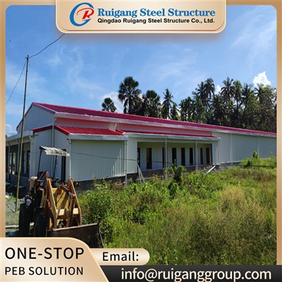 Kako upravljate snabdijevanjem vodom na farmi jaja?